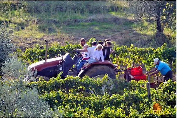 Agriturismo Serratone Preselle