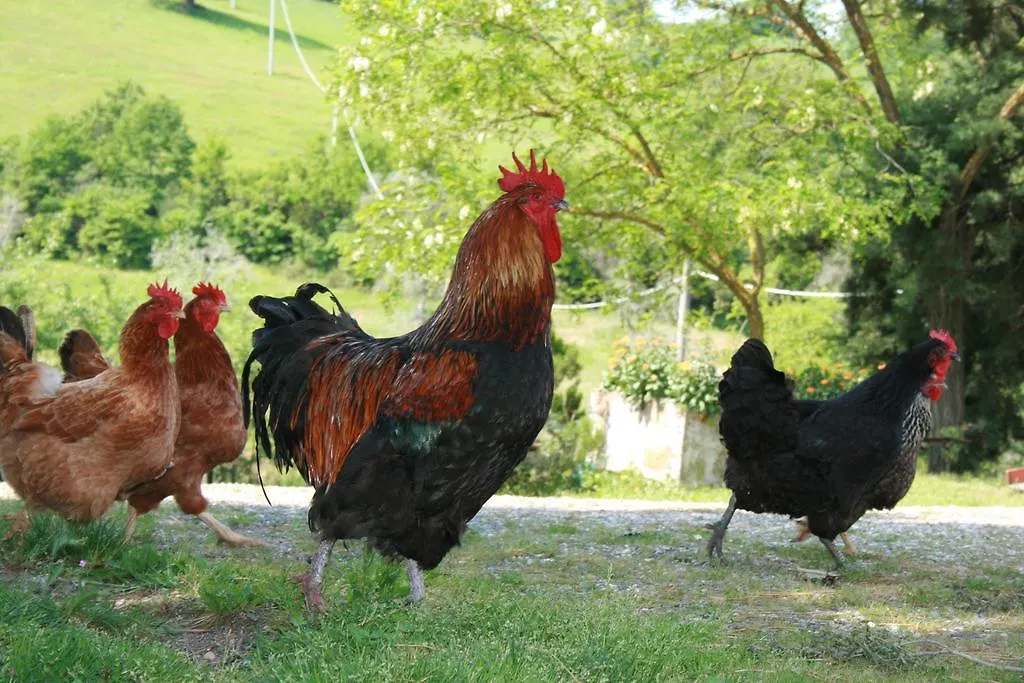Agriturismo Serratone Preselle
