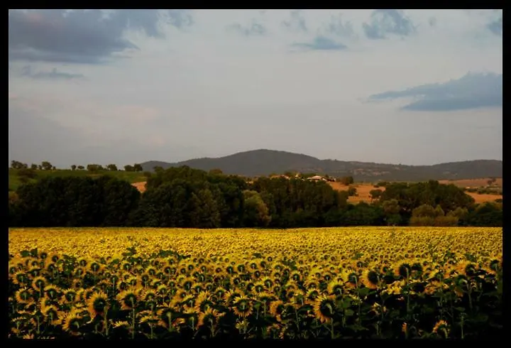 Agriturismo Serratone Preselle Farm stay